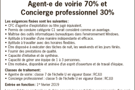 Agent-e de voirie 70% et Concierge professionnel 30% Agent de voirie et concierge professionel