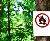 Attention ! Danger d’incendie en forêt – appel à la prudence csm_feu_interdit-w_746661fb97