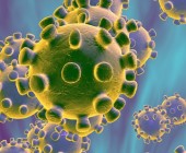 Coronavirus – Information à la population coronavirus