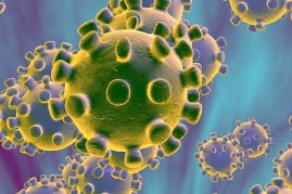 Coronavirus – Information à la population coronavirus