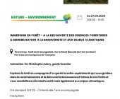 affiche-immersion-en-foret-002