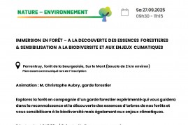affiche-immersion-en-foret-002