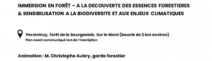 affiche-immersion-en-foret-002