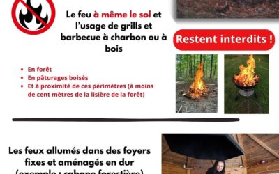 INTERDICTION DE FAIRE DU FEU