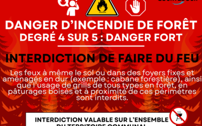 INTERDICTION DE FAIRE DU FEU